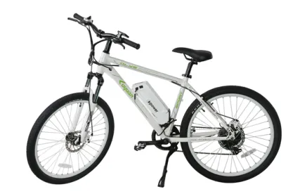 Pb107-2 Mountain Electric Bicycle with Shimano Derailleur