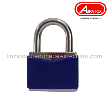Waterproof ABS Covred Cast Iron Lock Body (4)