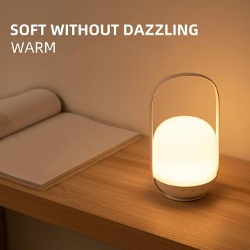 Portable Battery Powered LED Luminaire Camping Light 16 Color Changing RGB Beside Atmosphere Night Table Lamp