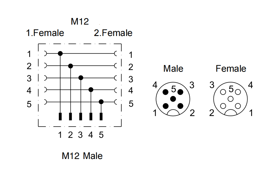 Y type M12 Connector