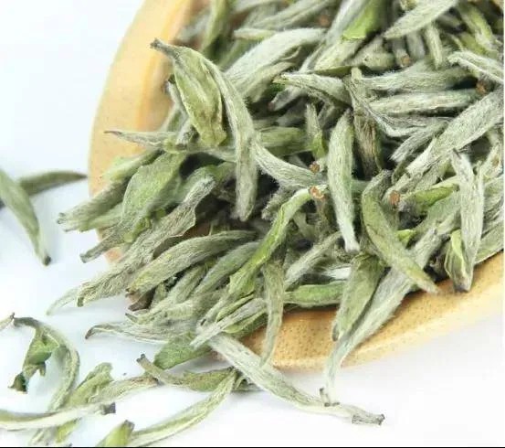 30% Polyphenols Camellia Sinensis White Tea Extract