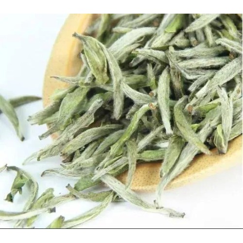 30% Polyphenols Camellia Sinensis White Tea Extract