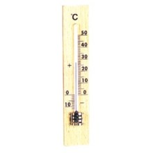 Indoor &amp; Outdoor Thermometer