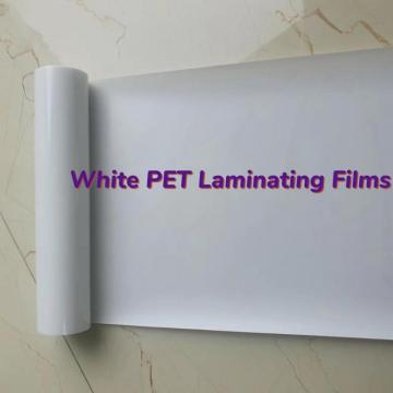 Filem Laminating Pet/PE yang tegar untuk Pakej Makanan Makan Haba