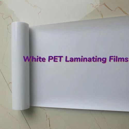 Rigid PET/PE Laminating Films for Heat-sealing Food Package