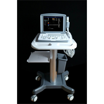Tragbare Farbdoppler -Ultraschallmaschine für Prostata