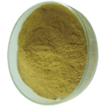 chlorogenic အက်ဆစ်အစိမ်းရောင်ကော်ဖီ Bean Extract