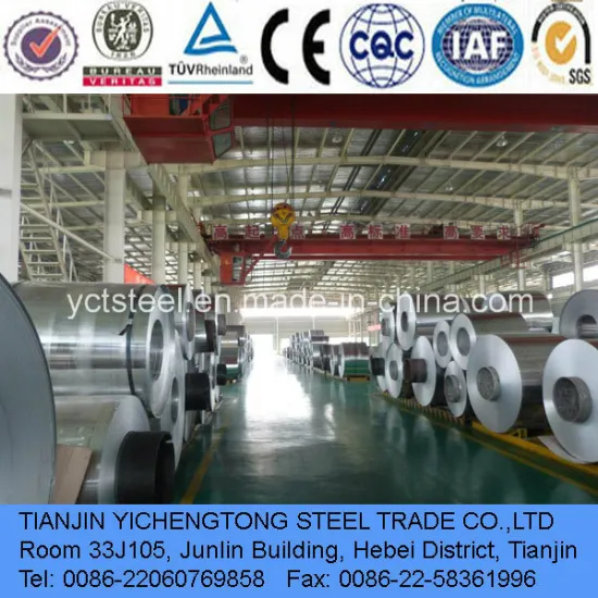 6061 Aluminum Coil for Beer Bottle