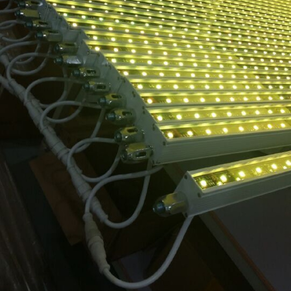 Сандық DMX сиқырлы жарықдиодты жарықдиодты шам