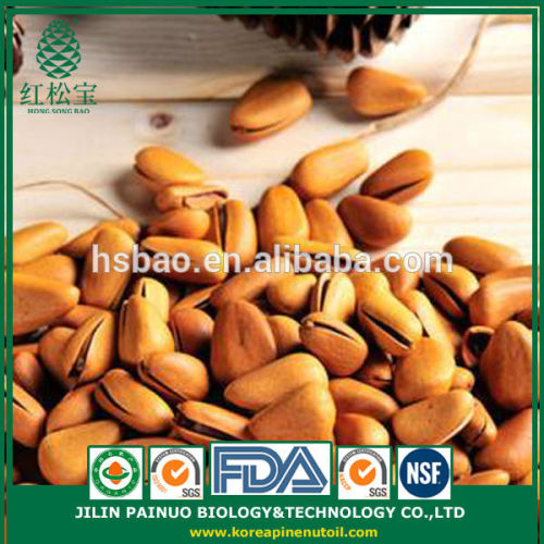 Wholesale Particle Filled Screw Weight Open Pine Nuts in Shell