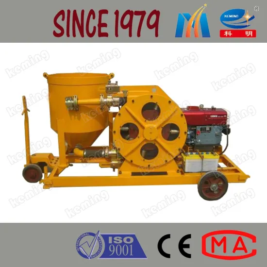 Diesel Engine Diesel Hose Pump Cement Mixer Mortar Mixer and Pump