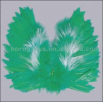 Angel Wing K2552