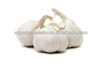 Chinese New Fresh Garlic