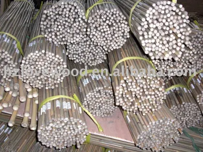 Bamboo Garden Canes