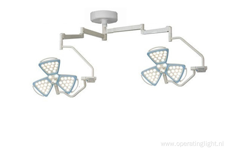 Double dome flower OT lamp