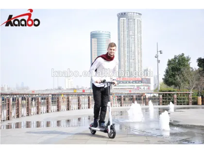 electric scooter, scooter electric, electric skateboad