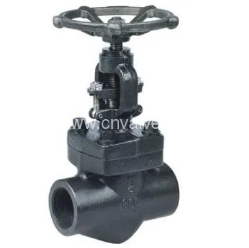 Forged Steel Globe Valves (800LB)