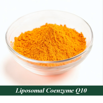 Liposomal Coenzyme Q10 for Antihypertensive Ingredients