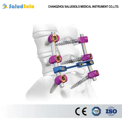 6.0 Spinal Pedicle Screw System
