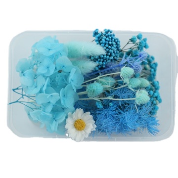Hot Sale DIY Mixed Real Rose Decorations - Handmade Dried Pressed Flowers for Christmas and Valentine's Day