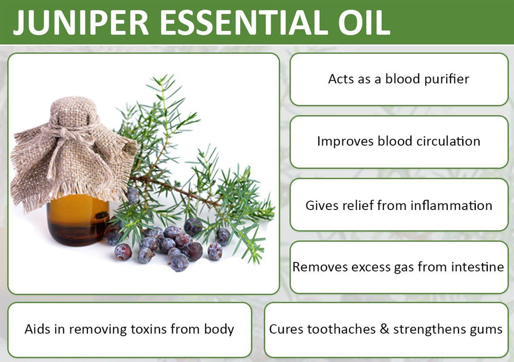 Wholesale 100% pure and natural essential Juniper Berry oil at bulk price