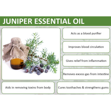 Wholesale100% natural juniper berry oil / cade oil