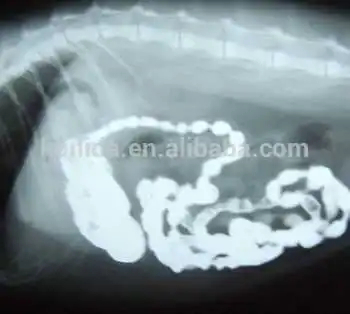 KND-F fuji blue based xray dry film 8*10 inch clear image