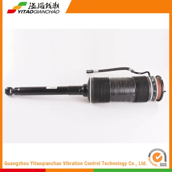 Best Selling Trucks Parts In American Automotive Semi Shock Absorber