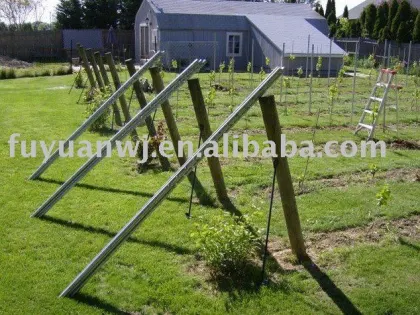 vineyard post