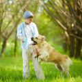 Jouet de jouet de chien en caoutchouc squeaky ball ball jouet