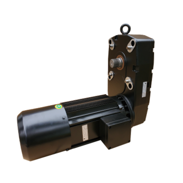 গ্যান্ট্রি ক্রেন উত্তোলন ড্রাইভ মোটর