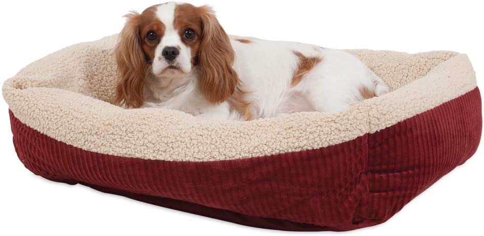 Dog Bed22 Jpg