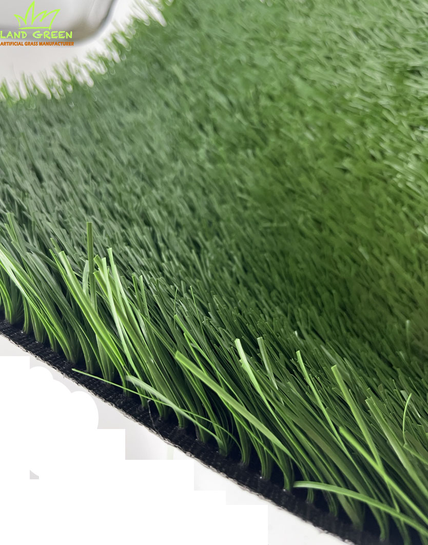 best lawn care company