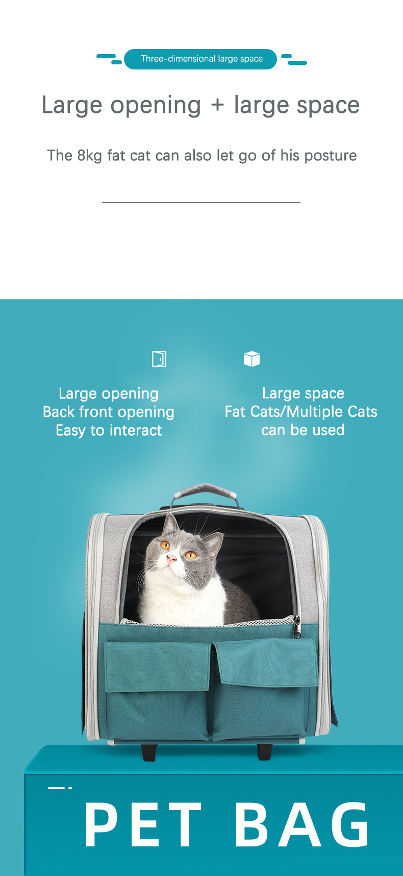 Pet Travel Carrier