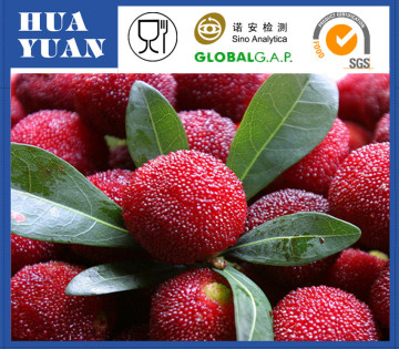 Fresh Chinese Black pulp juicy waxberry for sale