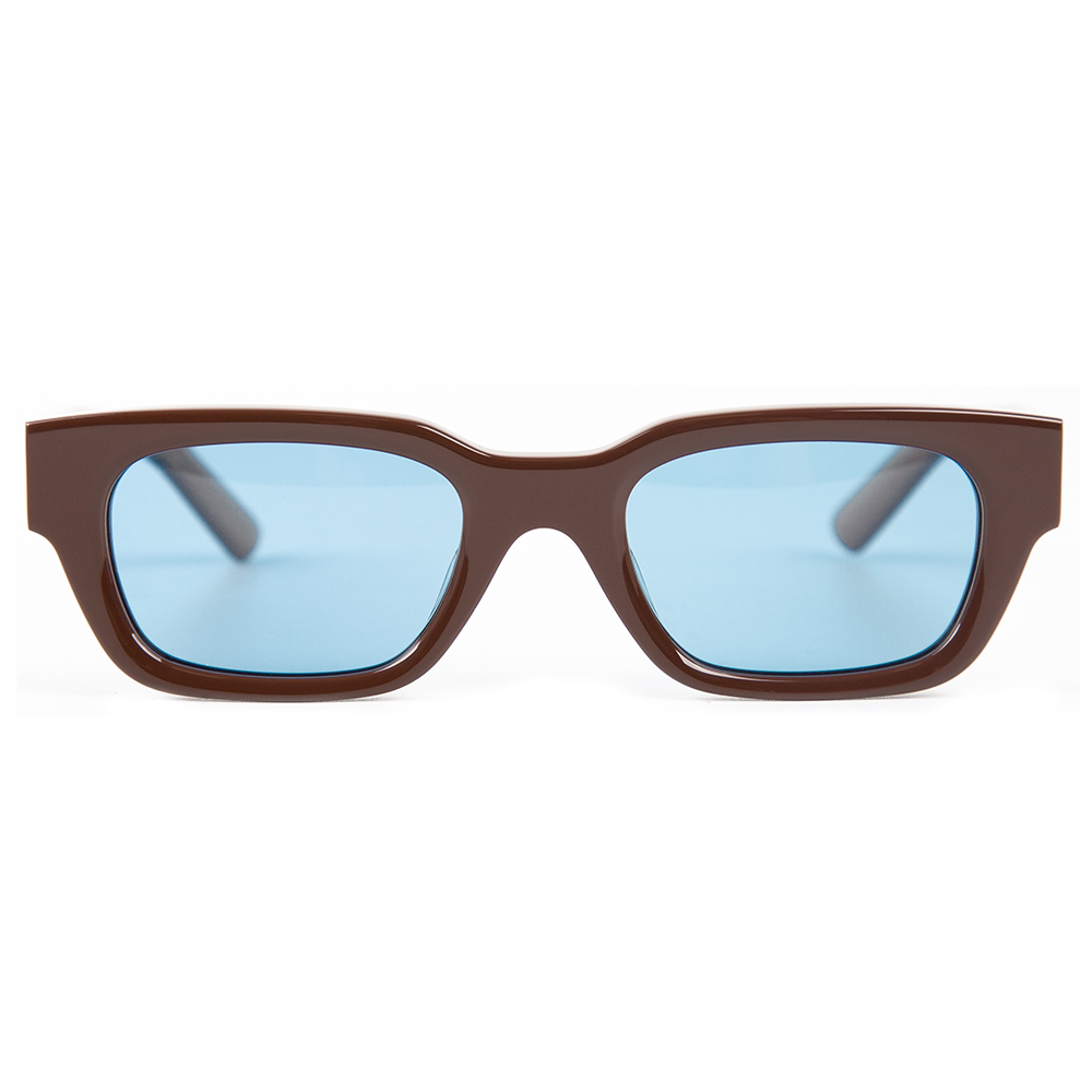 Polarized Acetate Glasses Frame