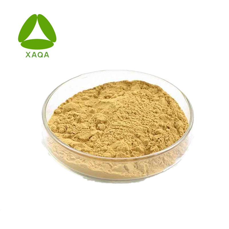 Sophora Fruit Extract Kaempferol 10% Powder Price