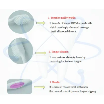 Tooth Clean Massage Gum Soft Bristle Plastic Toothbrush