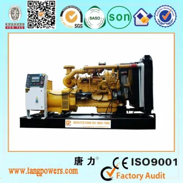High quality 400kw diesel generator Shanghai Diesel with Tangpower