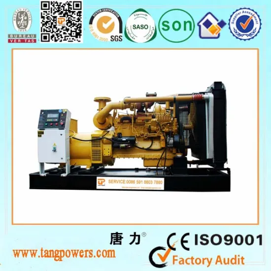 High quality 400kw diesel generator Shanghai Diesel with Tangpower