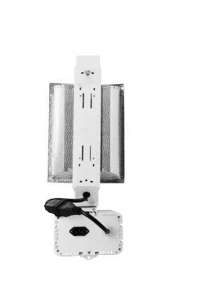 HPS 1000W Grow Light - Multi-Voltage Options