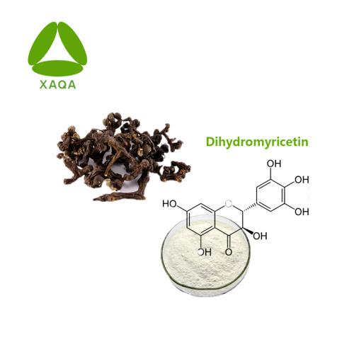 Semen Hoveniae Extract DHM Dihydromyricetin 90% Powder