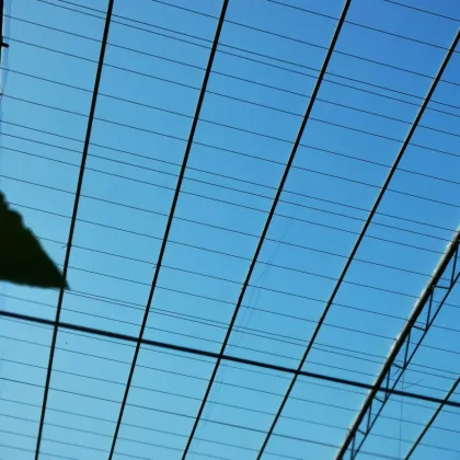 Single-Span Plastic Greenhoue Film Agricultural Plastic Film