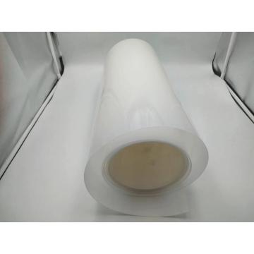 Translucent White PP Rigid Sheet for Blister Packaging