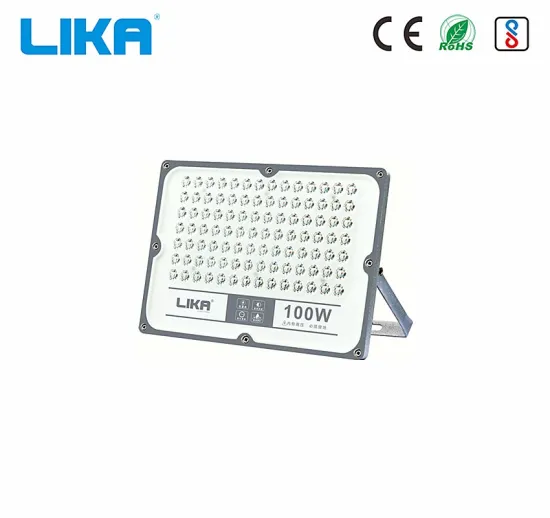 100W Hotselling Projector Outdoor Led Landscape Floodlight