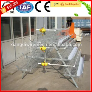 High Quality Galvanized Chicken Wire Cage Mesh For Sale