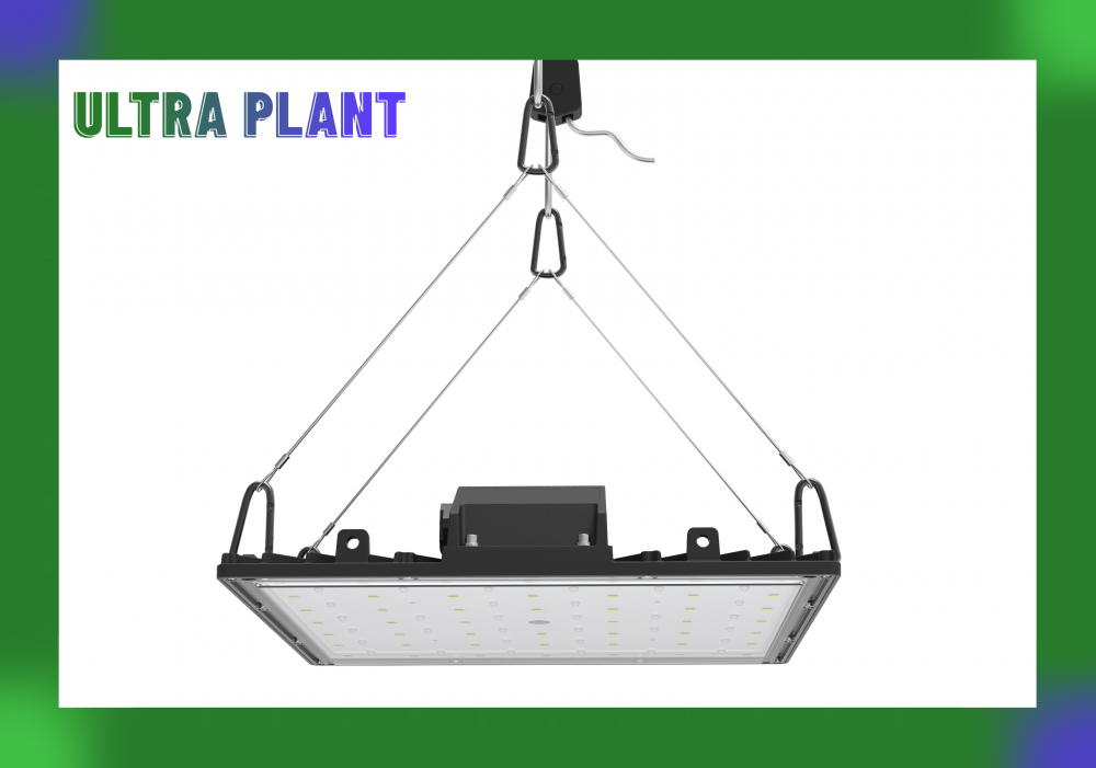 Plant Grow Lights for Indoor Plants Veg