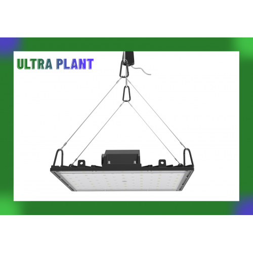 Plant Grow Lights pour plantes d&#39;intérieur Veg