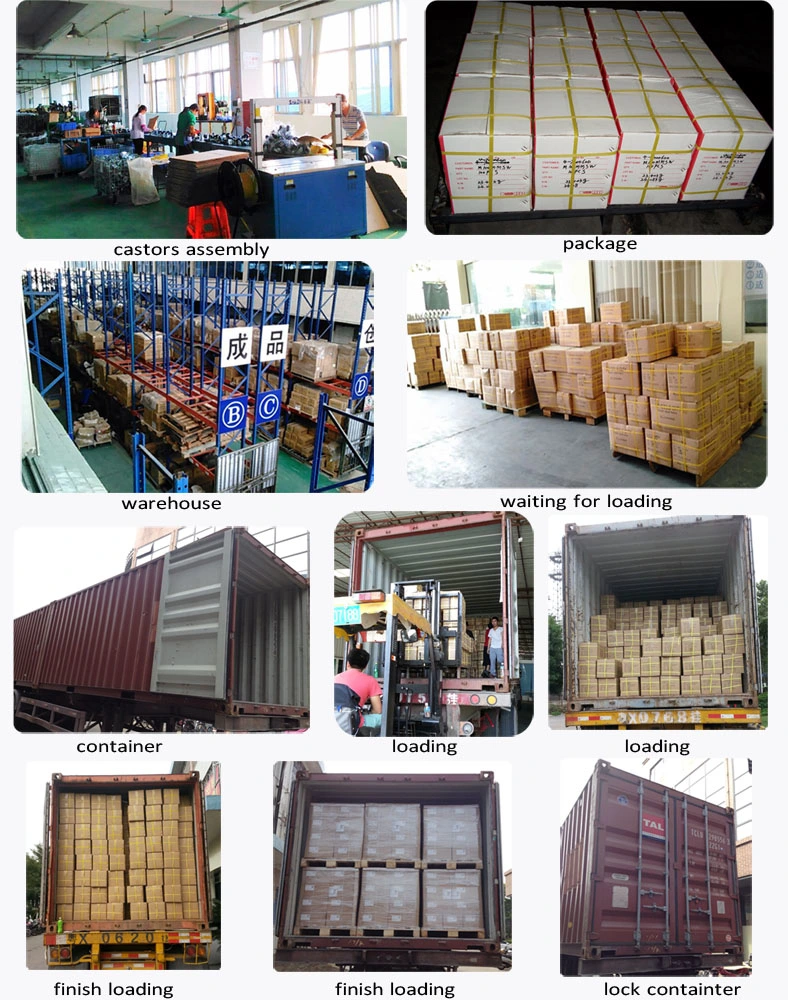 Roller Bearing Rigid Casters
