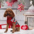 Χριστουγεννιάτικο πουλόβερ για σκύλους Πουλόβερ με γιλέκο για κατοικίδια
